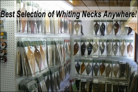 Whiting dry fly hackle necks and saddle hackles